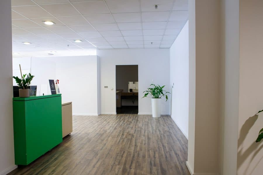 Bureau vide et lumineux avec meuble vert et plante